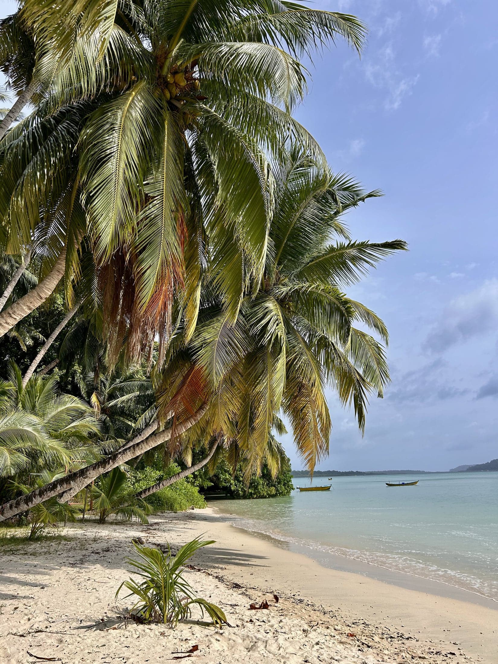 Andaman & Nicobar Islands