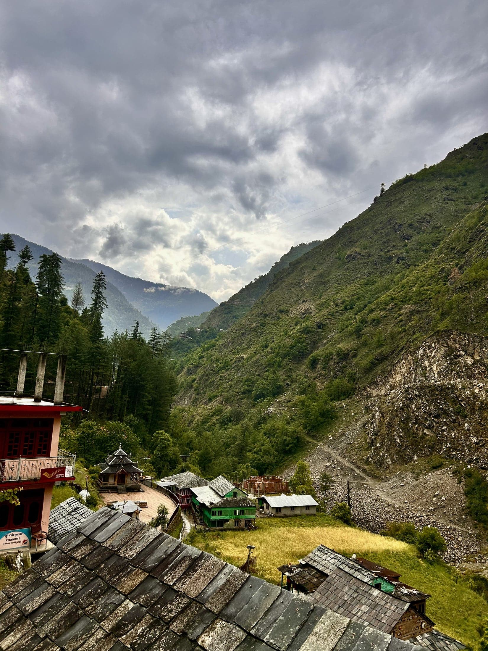 Auli